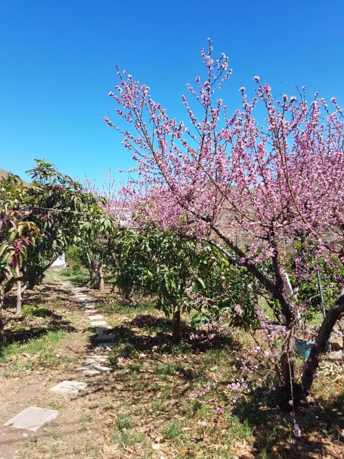 Casa Rural En Santa Cruz Los Campitos Eksteriør billede