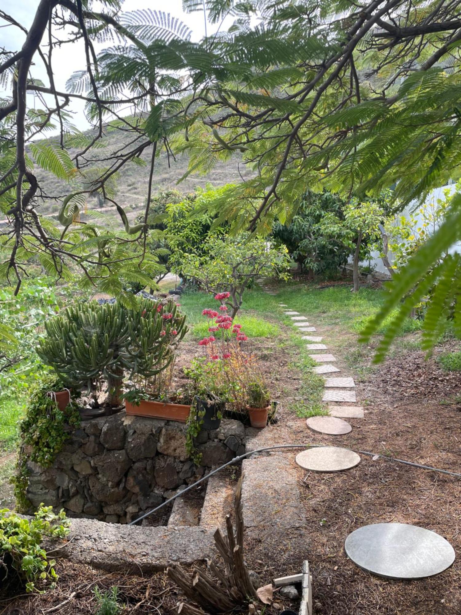 Casa Rural En Santa Cruz Los Campitos Eksteriør billede