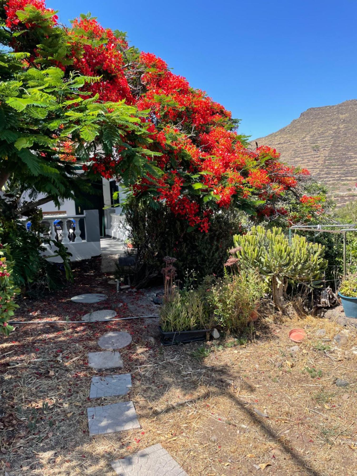 Casa Rural En Santa Cruz Los Campitos Eksteriør billede
